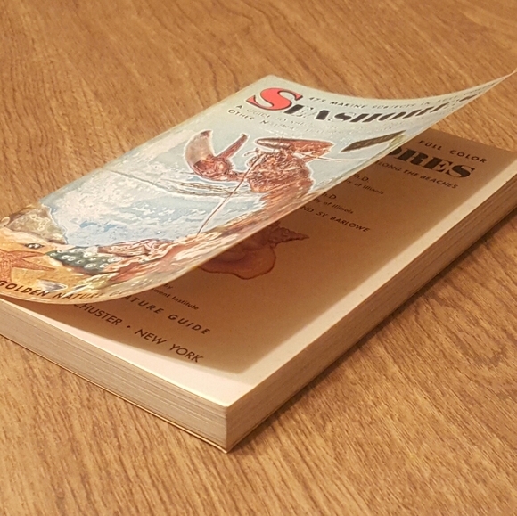 VINTAGE 1955 - A GOLDEN NATURE GUIDE - SEASHORES - Picture 4 of 11